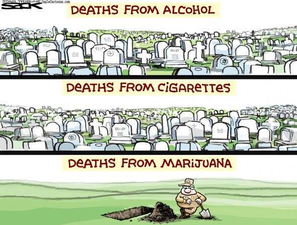 HouseofHemp's tweet photo. https://t.co/bP09pm0Zpn