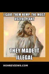 HouseofHemp's tweet photo. https://t.co/h9z5ljJ4u6