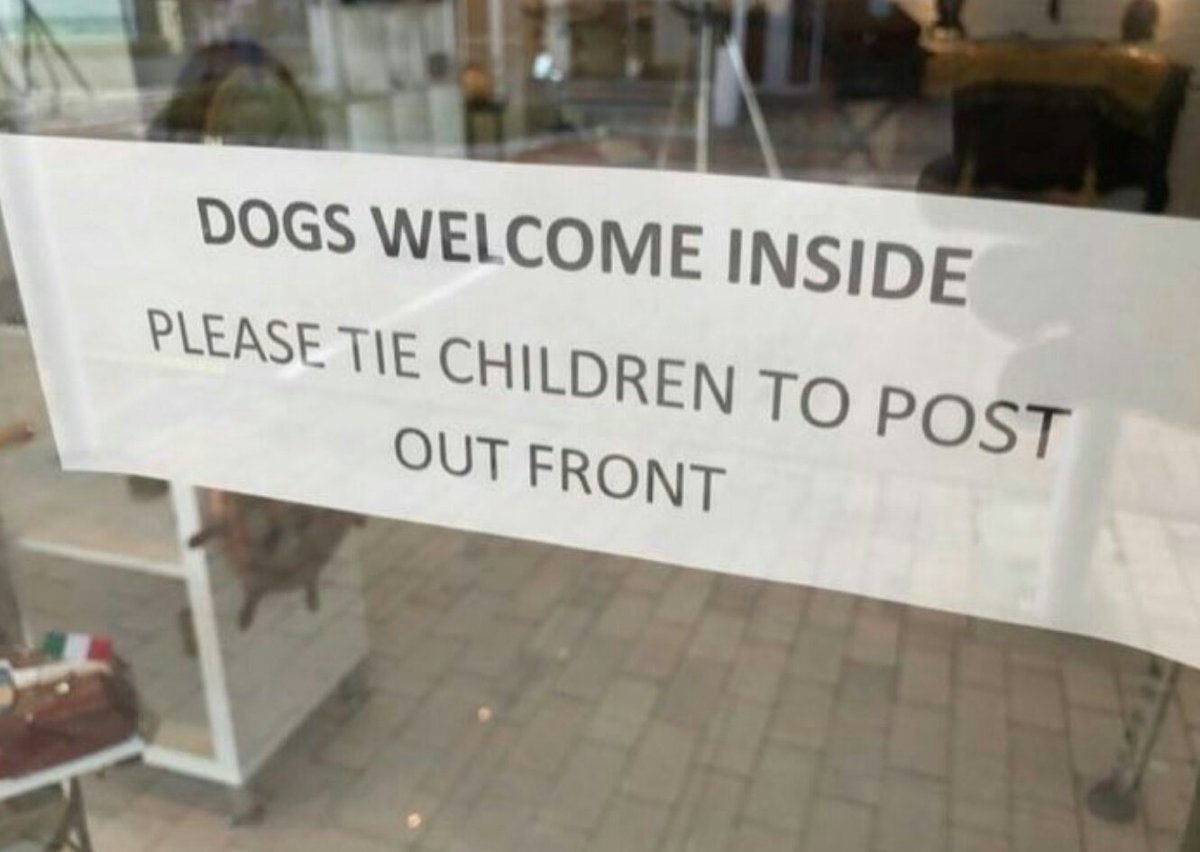 PawPartyBox's tweet image. We agree completely! #partyinabox #funinabox #dogs #dogsoftwitter