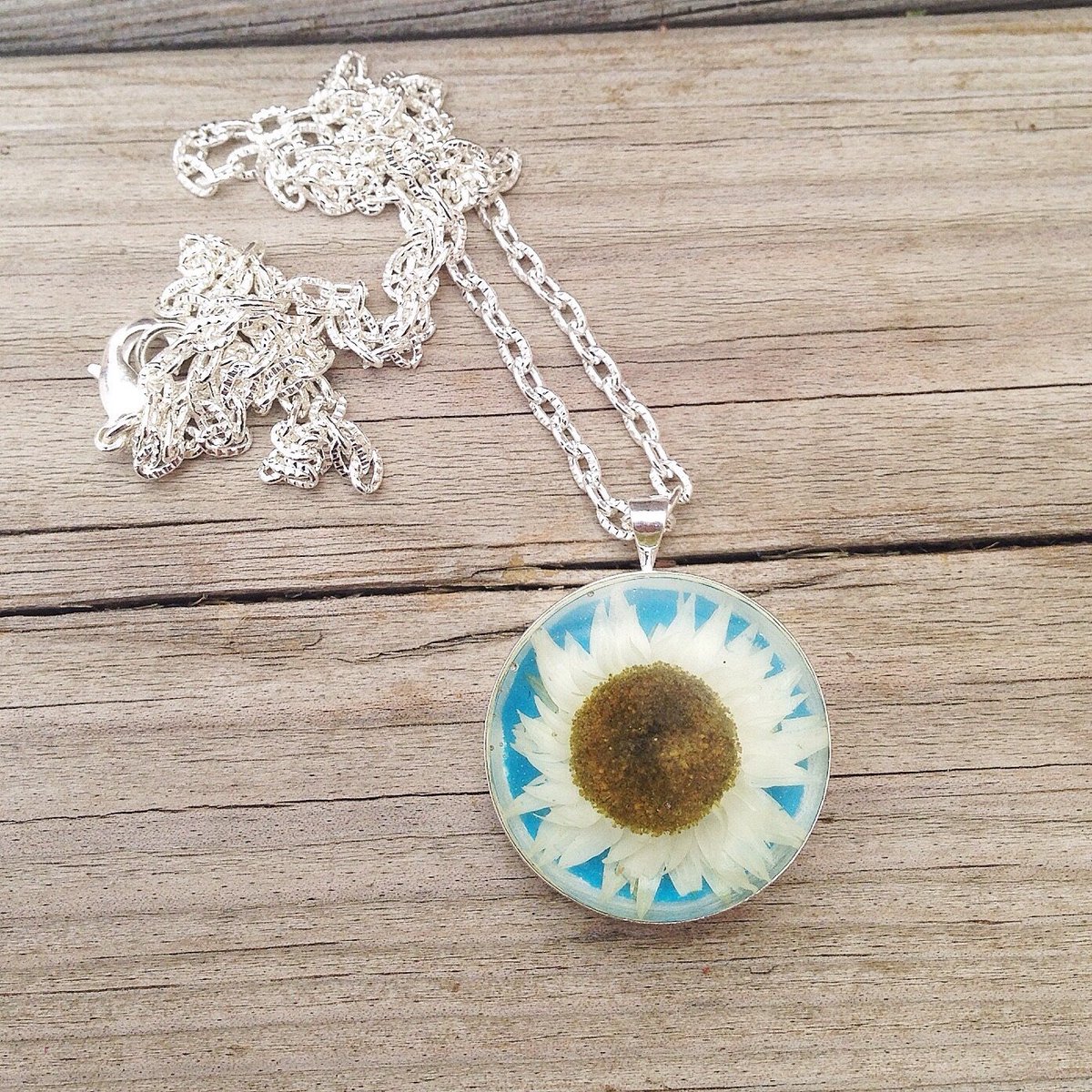 Real daisy necklace  - resin jewelry - daisy necklace with blue bac… tuppu.net/7efaead2 #Handmade #DaisyJewelry