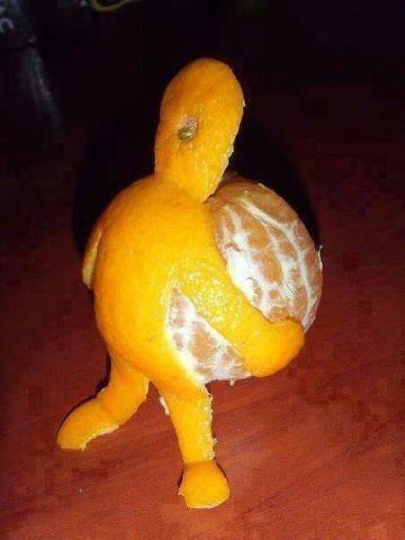 theCandidDiva's tweet photo. Sometimes you just have to pick yourself up and carry on.
#TuesdayThought https://t.co/4gGFpeNuKd