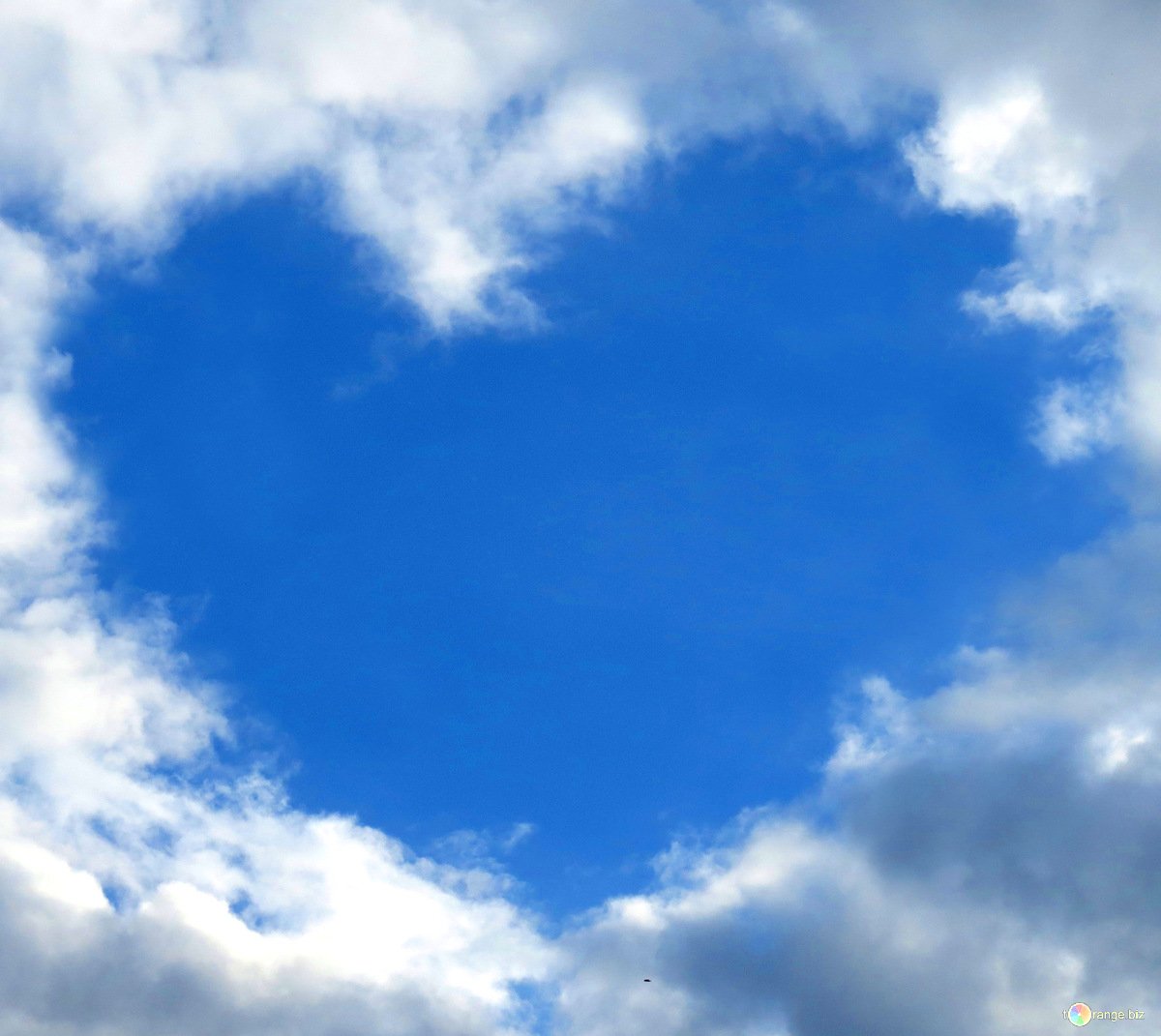 verdamper.eu tweet media