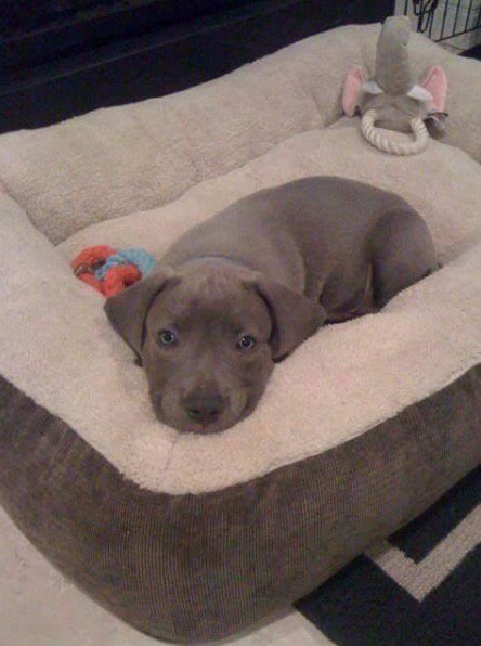 Helpology tweet media