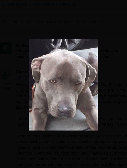 Helpology tweet media