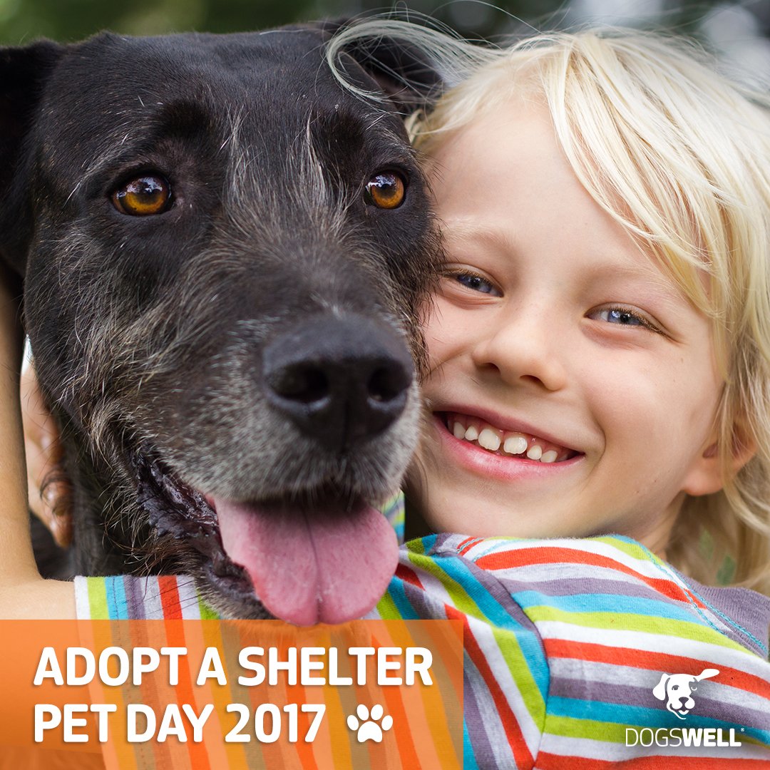 dogswell's tweet photo. Today might be #AdoptAShelterPetDay, but it's always a good day to save a life. Tell us about your shelter pet rescues! https://t.co/ZxIOSC8xin