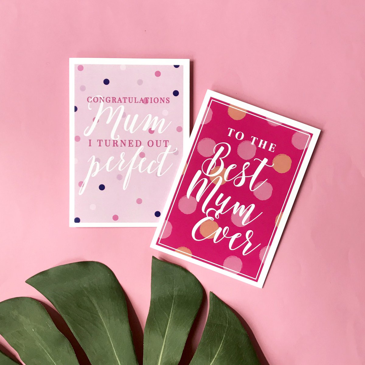 CandleBarkCards's tweet photo. https://t.co/pW0ji8xvrV
#greetingcards #stationery #card #cards #mothersday #mothersdaycard #mum#pink #flatlay #love #cancercouncil #charity https://t.co/S5VxlIPCdh