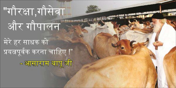 bsk_kolkata's tweet photo. @RishiDarshan @NorthEastToday Native Cow Milk has Elements 2 Protect us from HIV,Asthama, Breast &amp; Skin Cancer etc. #गौरक्षा_सबकी_जिम्मेदारी https://t.co/D6GunHaE99