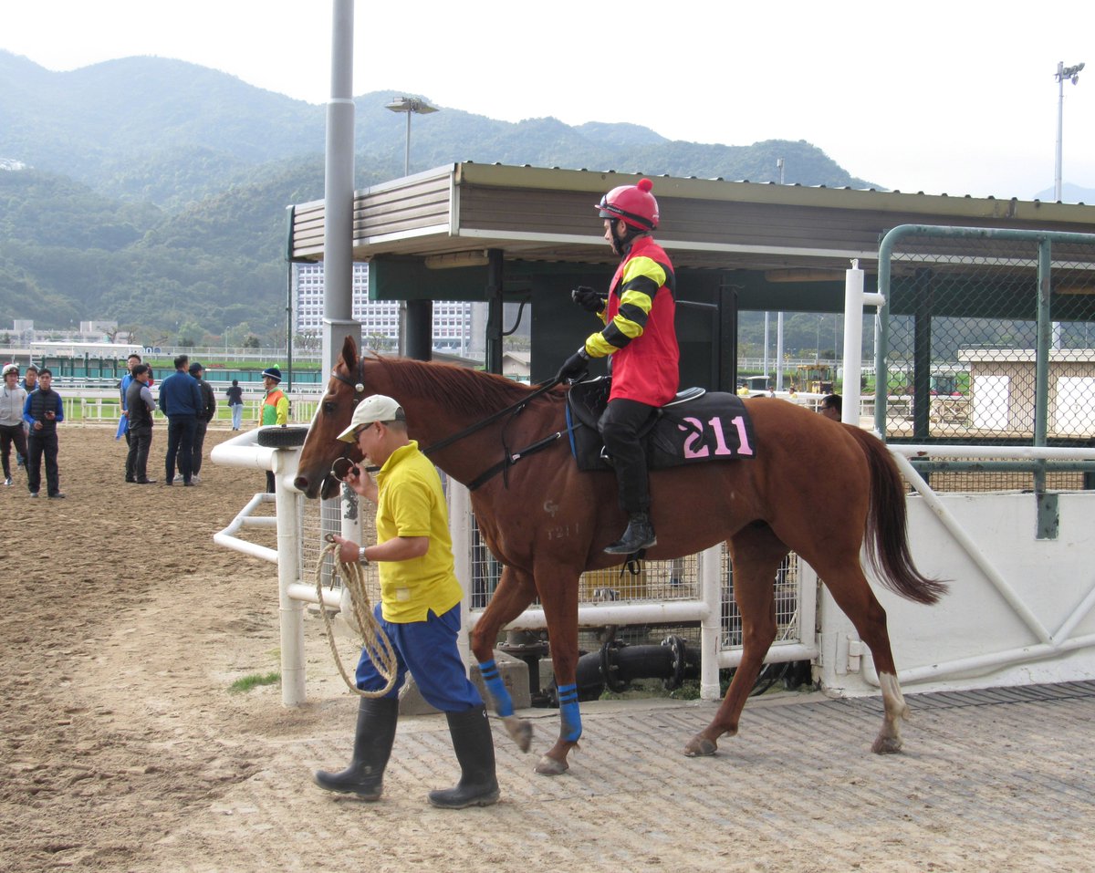 themorganline's tweet photo. Lucky Bubbles doing things easily in batch 1 at Sh Tin. Peniaphobia, Thewizardofoz, Blizzard, Blazing Speed, Beauty Only. Day starts nicely! https://t.co/FHGwhiDB81