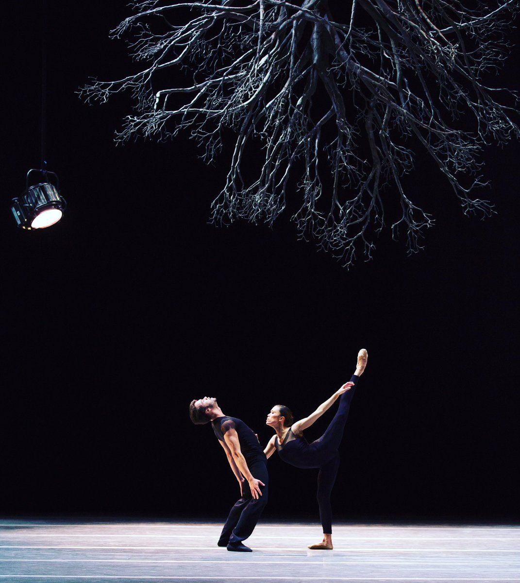 ruelechat's tweet photo. #wingsofwax is a gorgeous medley of Greek mythology & abstract movement. See it through April 2. #boston #ballet #bostonballet @BostonBallet https://t.co/asYTcBD0w0