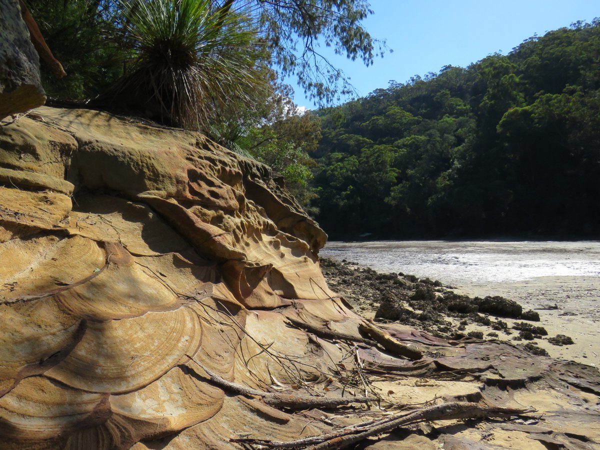 fawnaphlora's tweet photo. Sydney sand/stone: scalloped, stacked, & with driftwood #nature #sculpture #kuringai #zen #australia https://t.co/0NpQQiWfr4