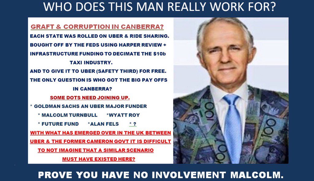 liz hasted tweet media