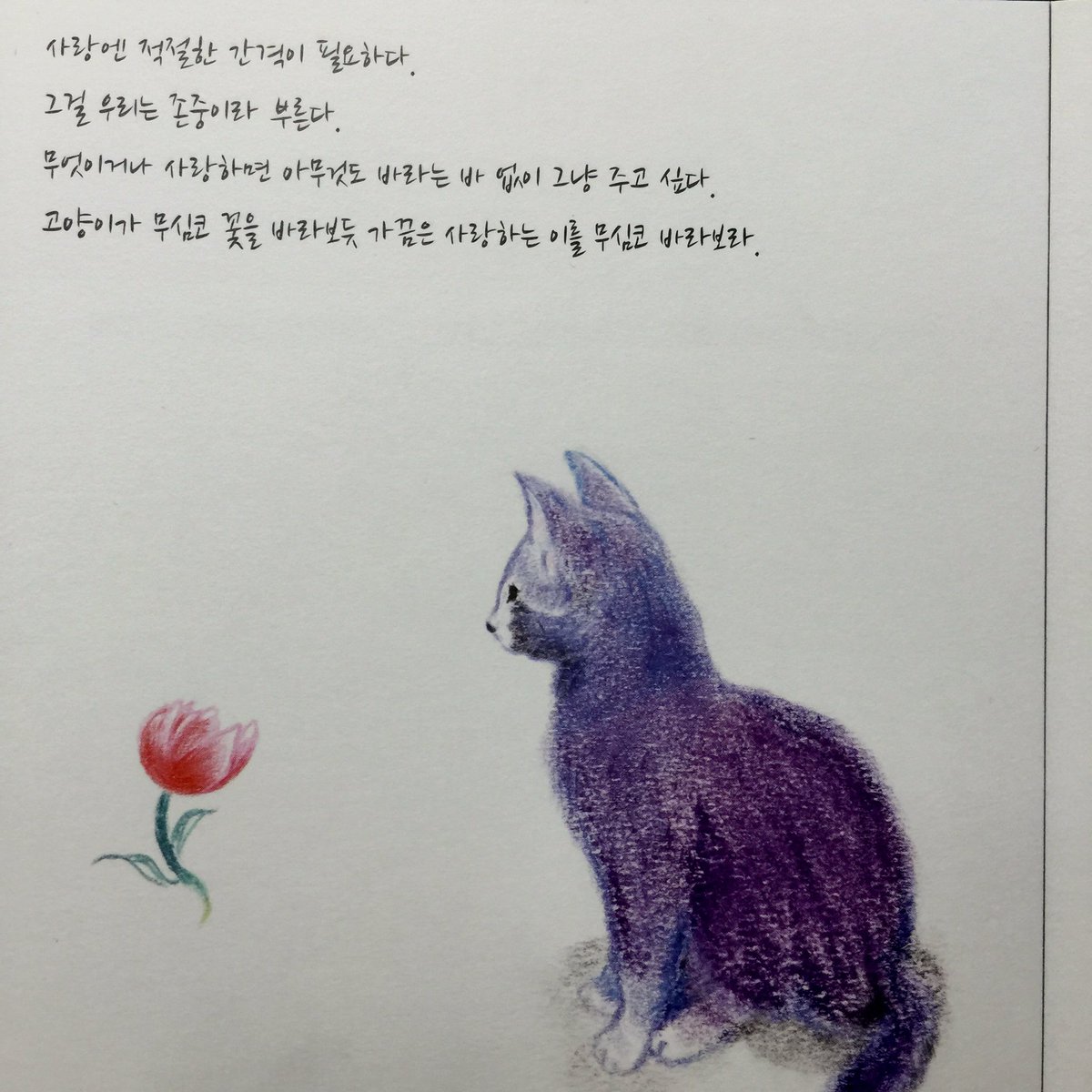 그리고 사랑....