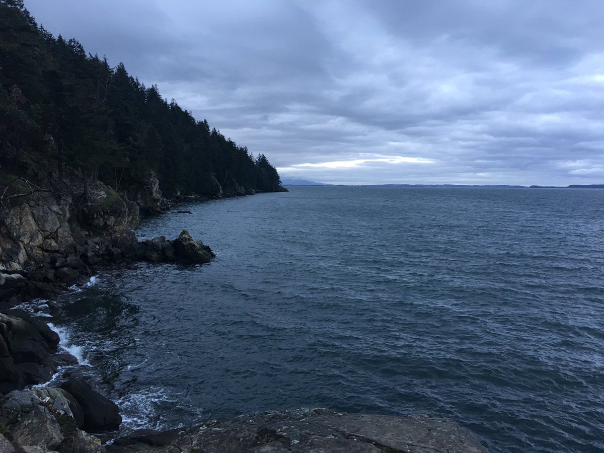 ShannelMiller's tweet image. didn't mean to end up here🌲