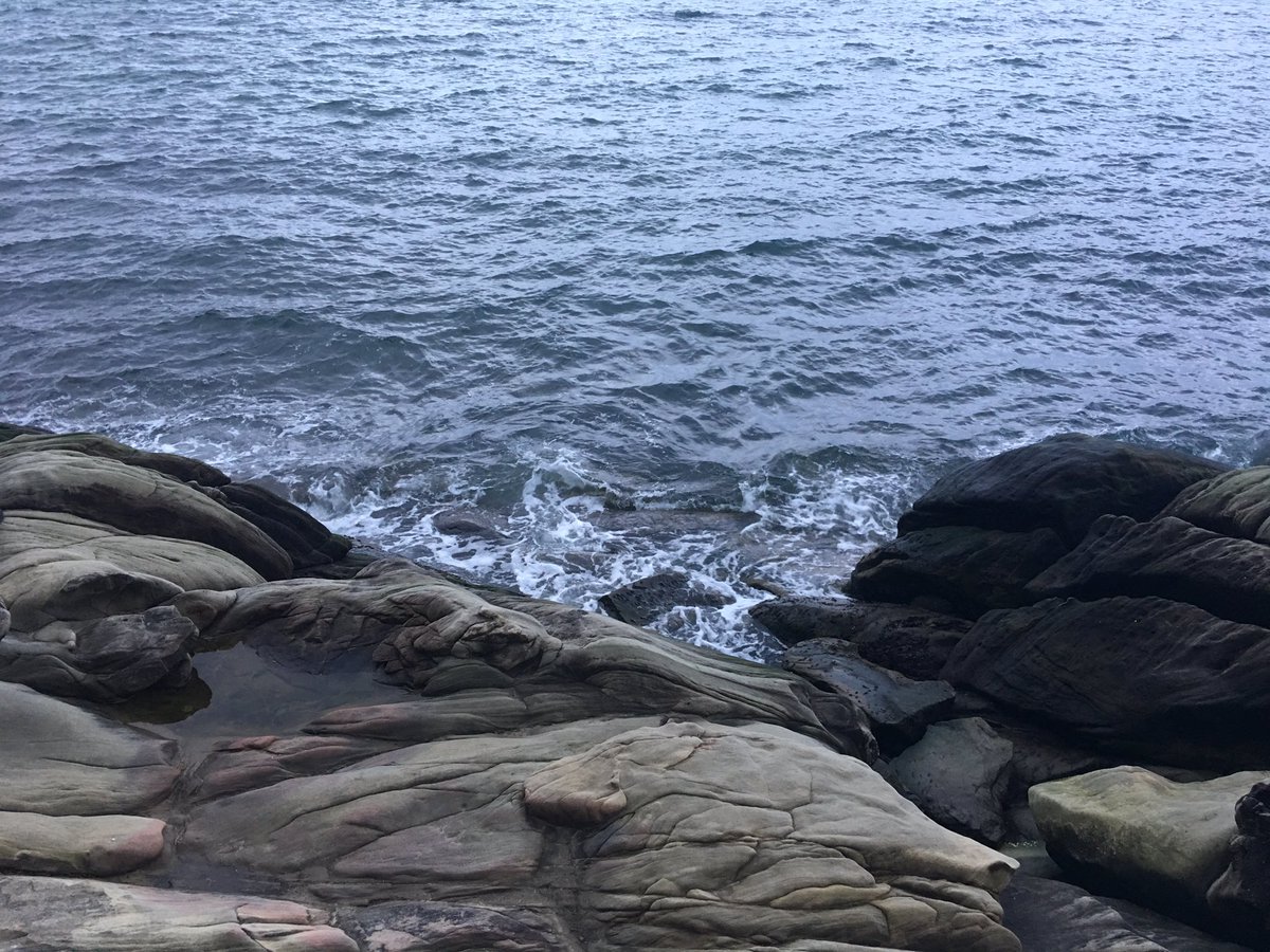 ShannelMiller's tweet image. didn't mean to end up here🌲