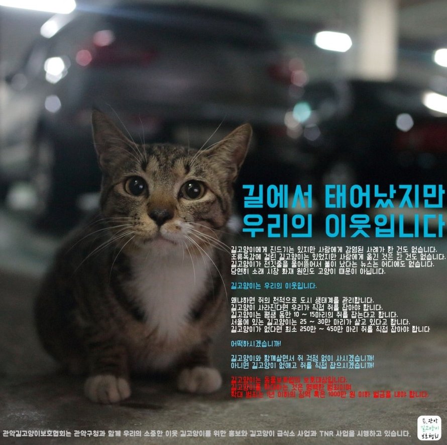 길고양이 퇴치를 공약으로 건 신림동 입주자 대표 후보에 대한 항의+ 관악구청의 대응과 경과
ckfzkrl.blog.me/220969072888 
내일이 선거라는데 제발 아파트 주민들의 기본 소양을 믿고싶다...