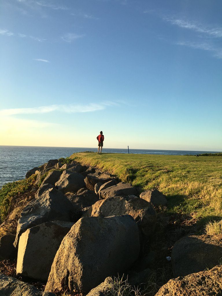 liamscheff's tweet image. Till We Meet Again dlvr.it/NkzRBZ #Collapse #Death_and_Dying #Helen