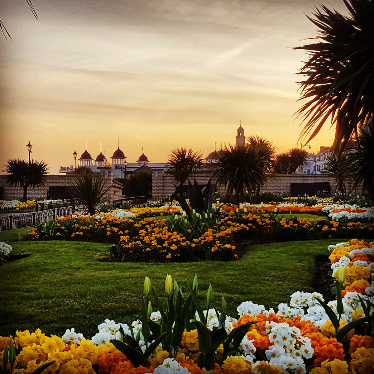 Love the #sunrise along #hernebay seafront. Esp now these flowers are in full bloom. Nothing beats the north Kent coast <a href="/visithernebay/">Visit Herne Bay</a>