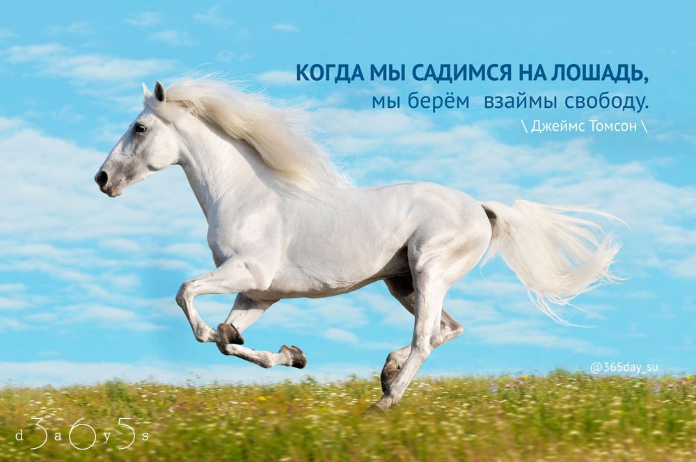 деревенский мальчик на лошади. езда верхом на мужчинах. сяду на коне. сесть на лошадь. седловка лошади схема.