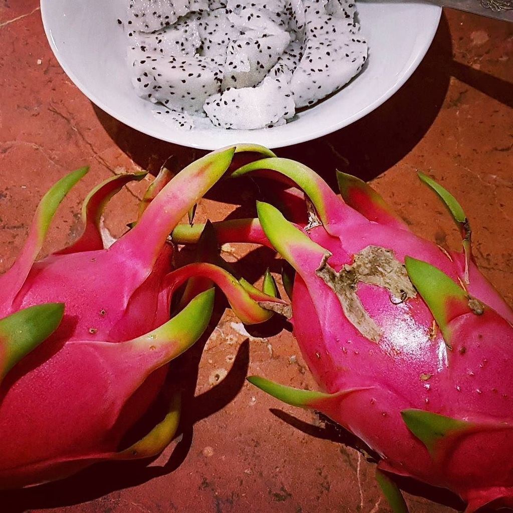 mkoziara's tweet photo. One of the perks of house sitting.  We're looking after the house with tropical fruit gard… https://t.co/422Y5wdzNp https://t.co/vNBEdXOjhR
