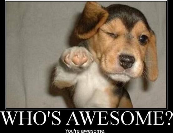 BeachBunnyKelly's tweet photo. Who is awesome? You are awesome!

https://t.co/geu95n48Mg

#inspiration #motivational #cute #puppy https://t.co/rKRuWfc8E1