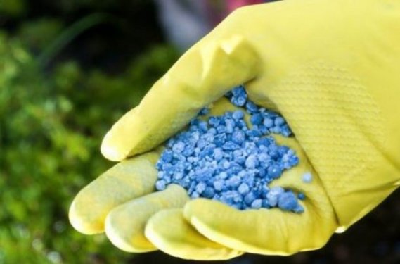 Европа ввела санкции против России, а Украина продолжает закупает в РФ удобрения по... freekaliningrad.ru/r/29931/