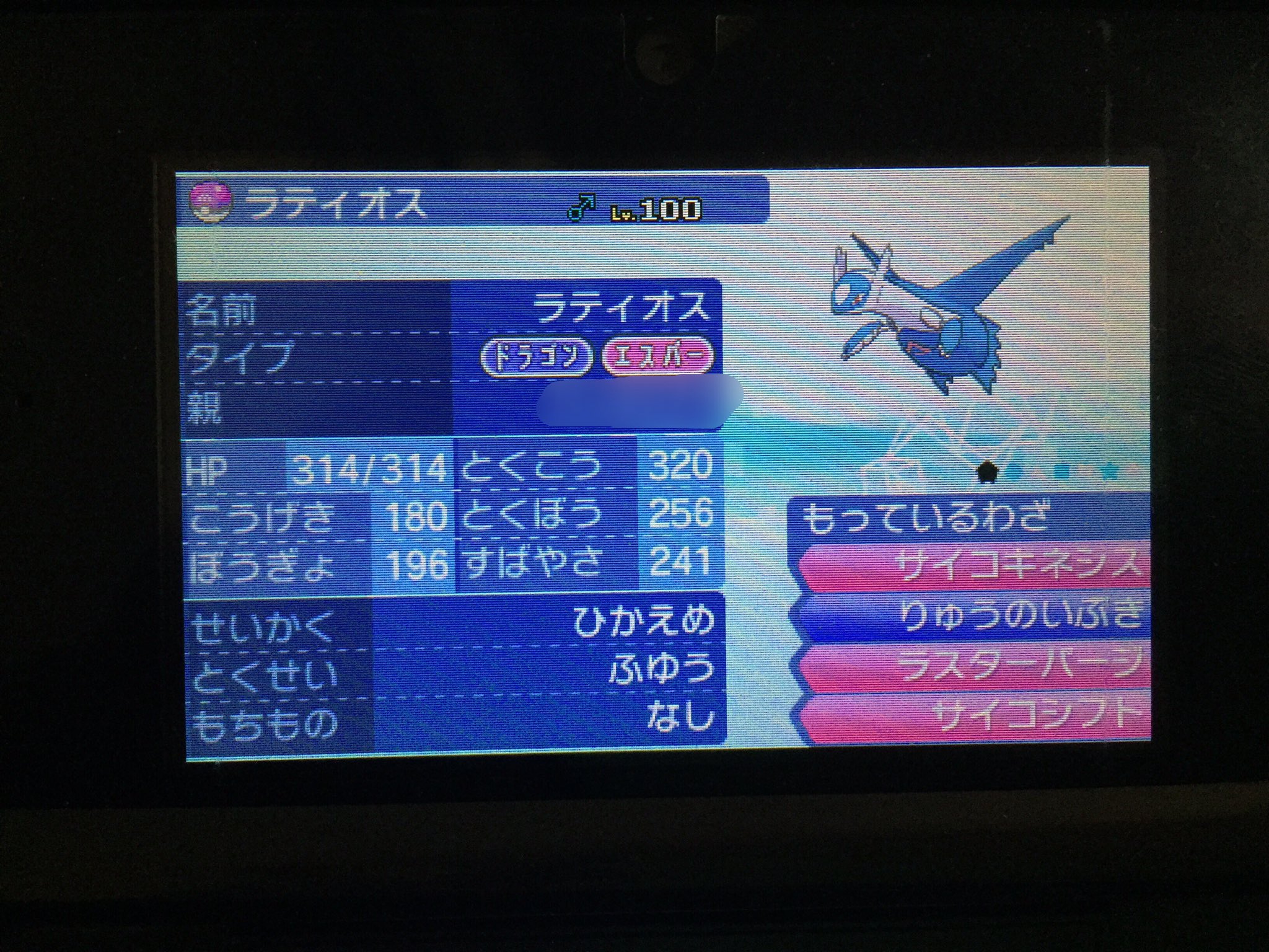 紳士なヒメグマ 5uvxvkd2c5fvw3q Twitter