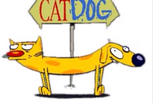 peasenation36's tweet photo. #catand dog tv show https://t.co/fUrInegZ9R