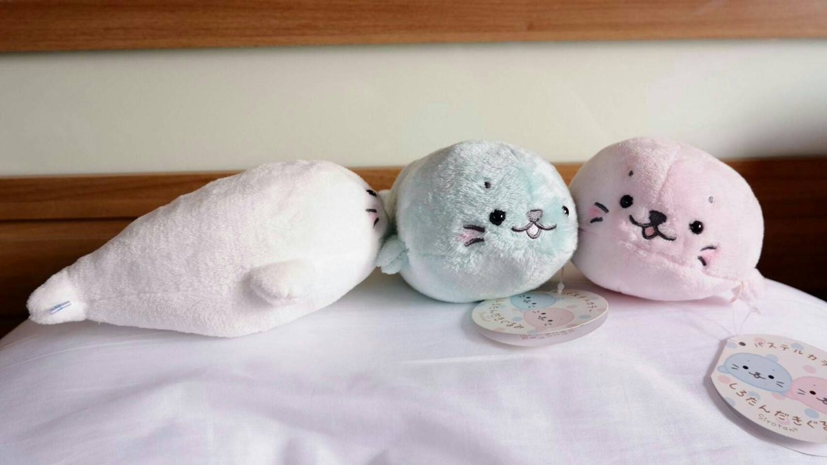 WorkEthereal's tweet photo. ตุ๊กตาติดกระจก shirotun
ขนาด 7 นิ้ว มี 3 สี ชมพู ขาว ฟ้า
ตัวละ  160฿
ยกเซต 450฿
สนใจสอบถามก่อนได้จ้า สั่งเยอะลดเยอะ
#etheral_shopp #ตุ๊กตา https://t.co/ofU3pI0Wg9