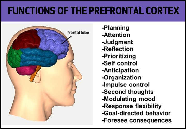 DefendYM's tweet photo. What changes in the brain of an addict? https://t.co/gy0vbFv8Gi
#MentalHealth #Addiction https://t.co/1k0jz5pTgV