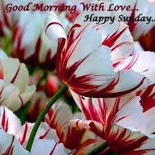 arpitoline95's tweet photo. God morning https://t.co/HaTIxYg1wG
