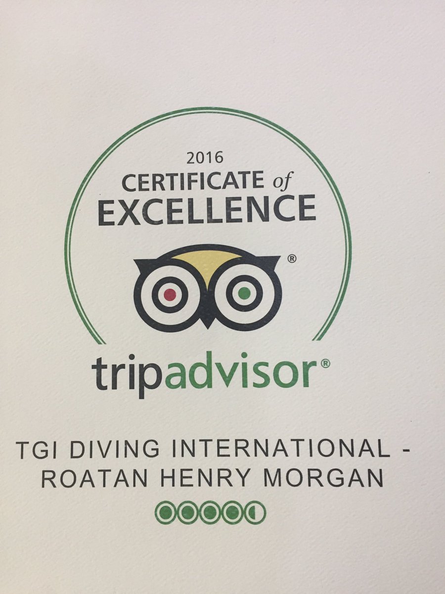 tgiroatan's tweet photo. There we go! Good job guys! https://t.co/qx5KFfzwwm