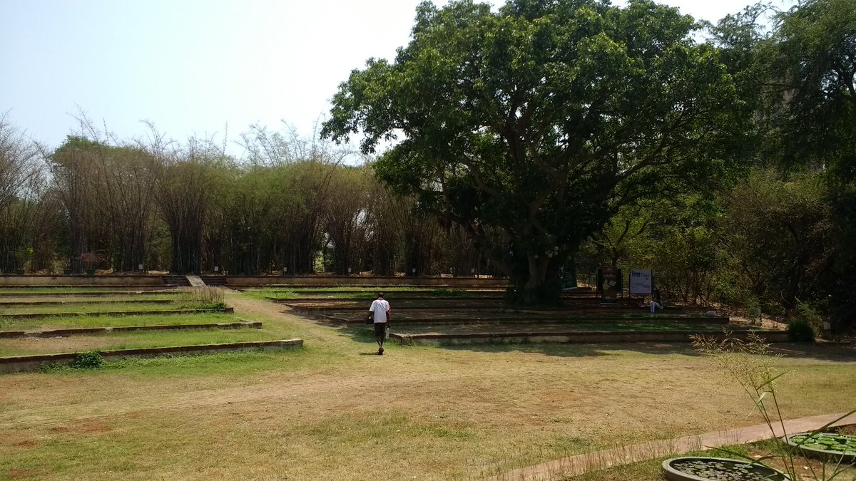 srukrish's tweet photo. Yes this gorgeous green is in the middle of #Mumbai. Join us at the Mahim Nature park to play #makingmumbai with @OfficialYUVA @fovlabs https://t.co/IGV50pLO4o