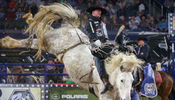 TedStovin's tweet photo. Chalk up another one to #TeamCanada 🇨🇦. 

.@JakeVold wins @RODEOHOUSTON: https://t.co/yTS2kBD1lY 

#RODEOHOUSTON #MuchoDinero https://t.co/ty6k8pfF8T
