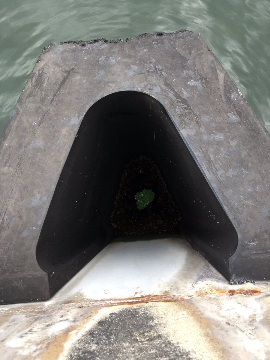 びちる tweet media