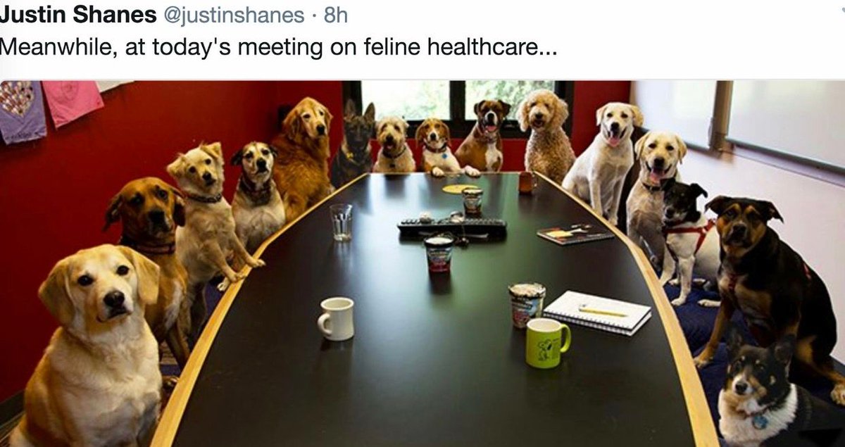 TailsTreasure's tweet image. 