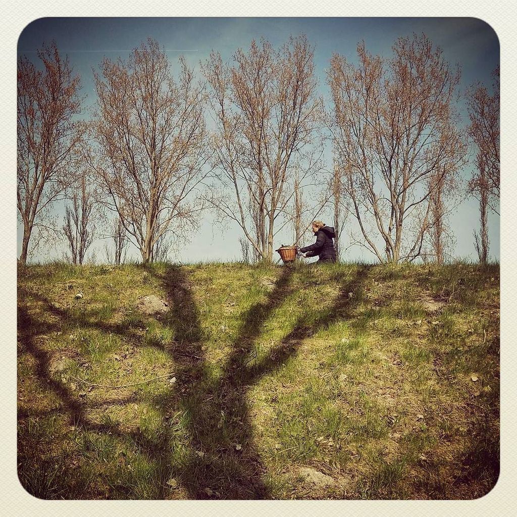 heijnisschipper's tweet photo. Shadow, trees and a lady on a bike

#shadowtree #treeshadow #tree #bike #dike https://t.co/Ui2kZjVfz7 https://t.co/mGdWuaIKqM