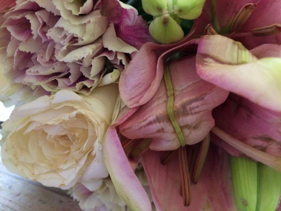 KateLSimmons's tweet photo. @Debenhams A not so happy Mother's day here. Not exactly "in bud form, ready to bloom" as advertised. Dead flowers and stems all broken! https://t.co/W9cjLzep55