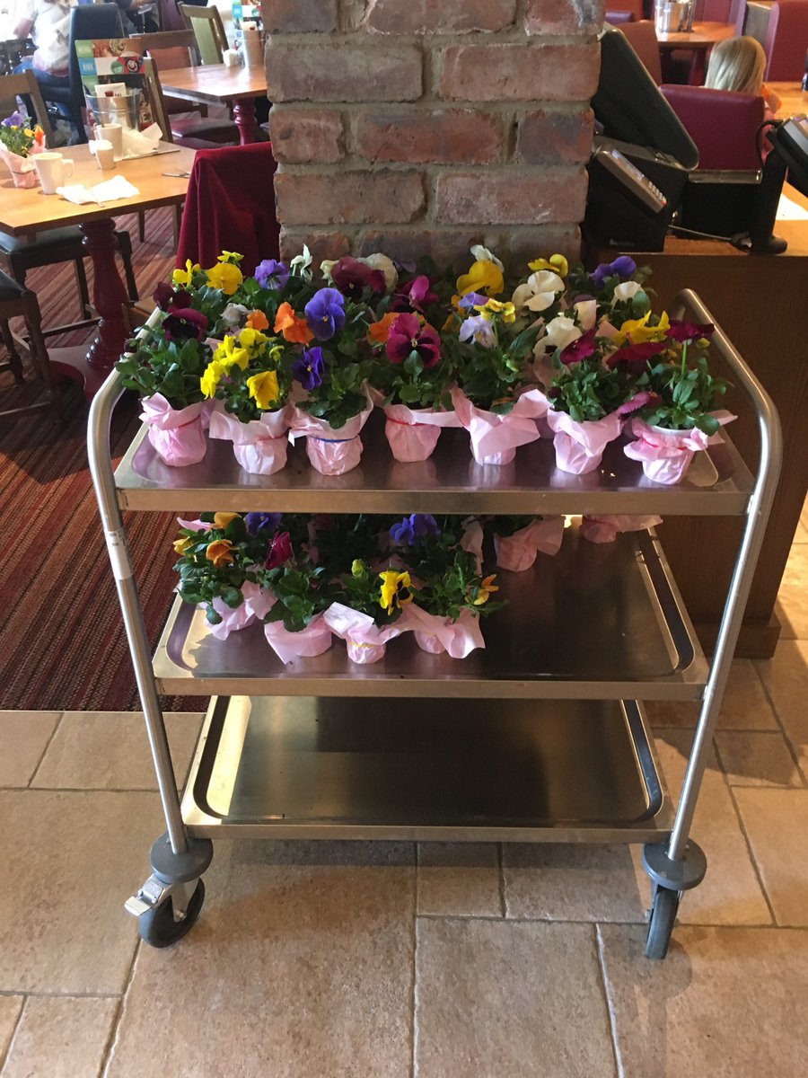 MineheadBrewersfayre tweet media