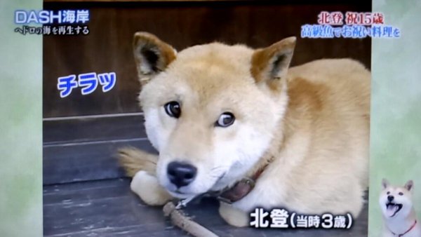 北登 Twitter Search Twitter