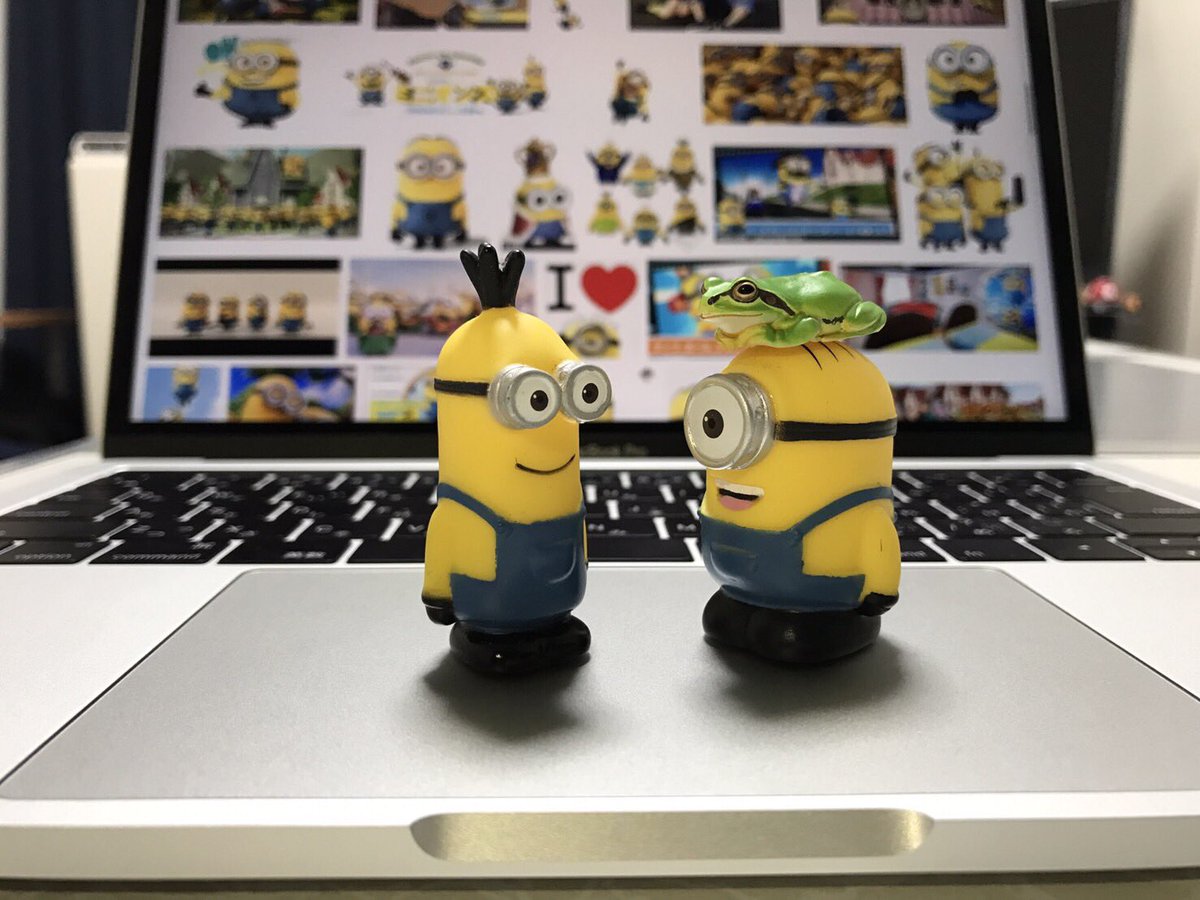 t_0207_'s tweet photo. 勉強してて、休憩中に撮影会始まった(o^^o)
#ミニオン #Mac #パソコン #一眼レフ #勉強会 #81std https://t.co/0wBtsRMCMo