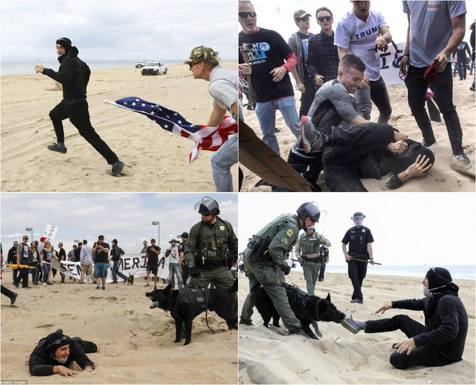 View image on Twitter