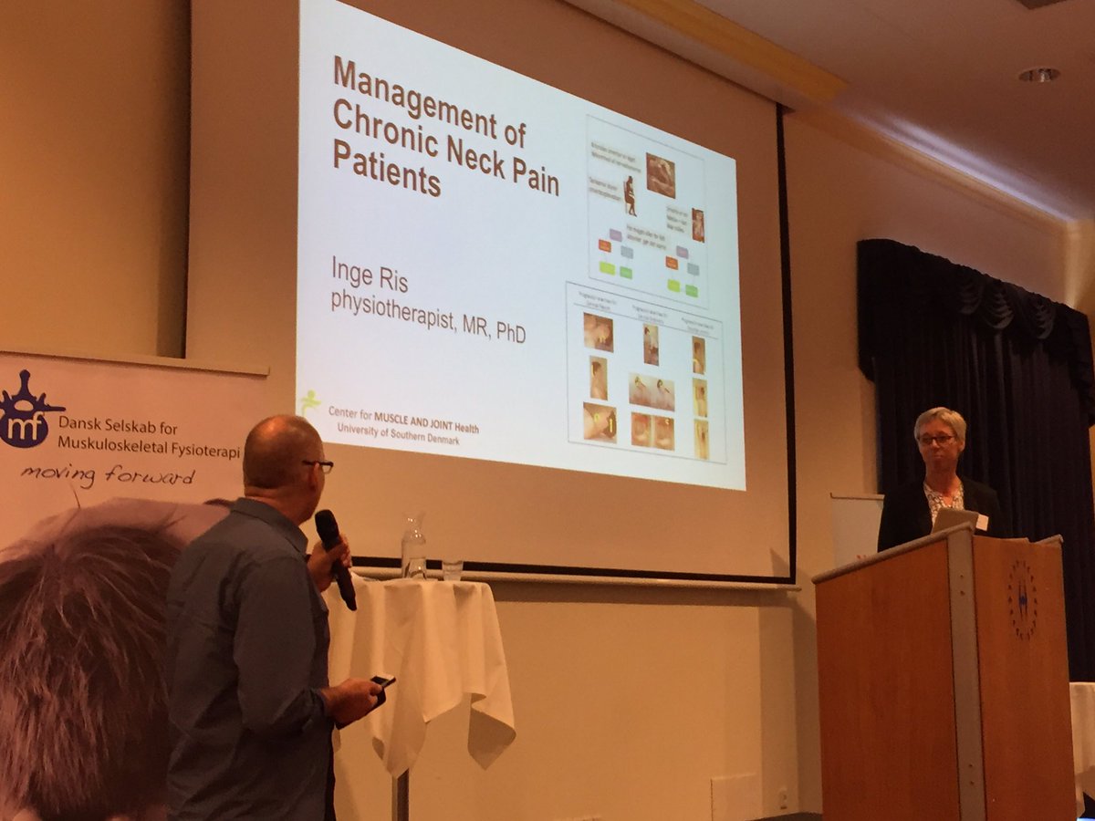 josefsenmartin's tweet photo. Inge Ris on Chronic Neck Pain - PhD presentation #DMPA2017 @MSKPhysioDK https://t.co/CvB17S1hPf