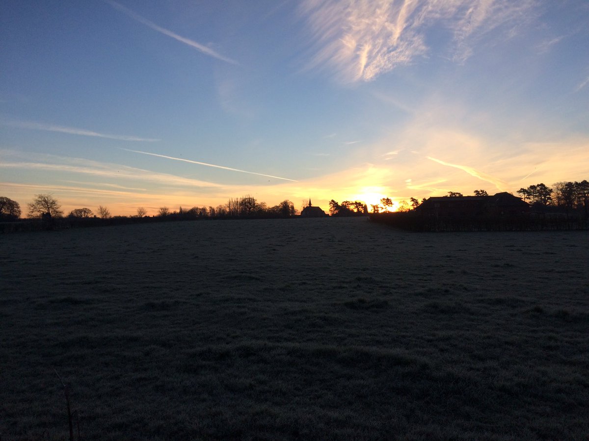 PoppyPawspets's tweet photo. Sunrise walks with Poppy #styal #nofilterneeded #cheshire #dogwalking #dogwalker https://t.co/T88otgcpfd