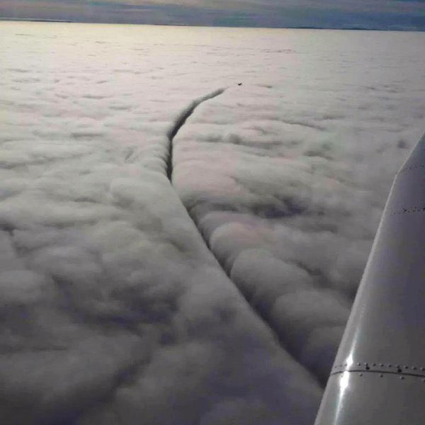 PIA°®  ••••••✈ tweet media