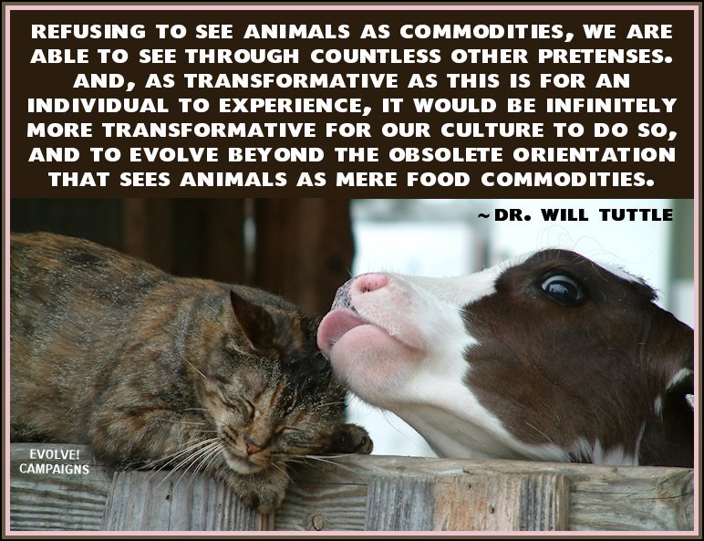 sandreti's tweet photo. #Evolve
#FriendsNotCommodities
#SentientBeings
#SamePlanet
#SameEmotions
#SameRights https://t.co/mOnRwoAMMm