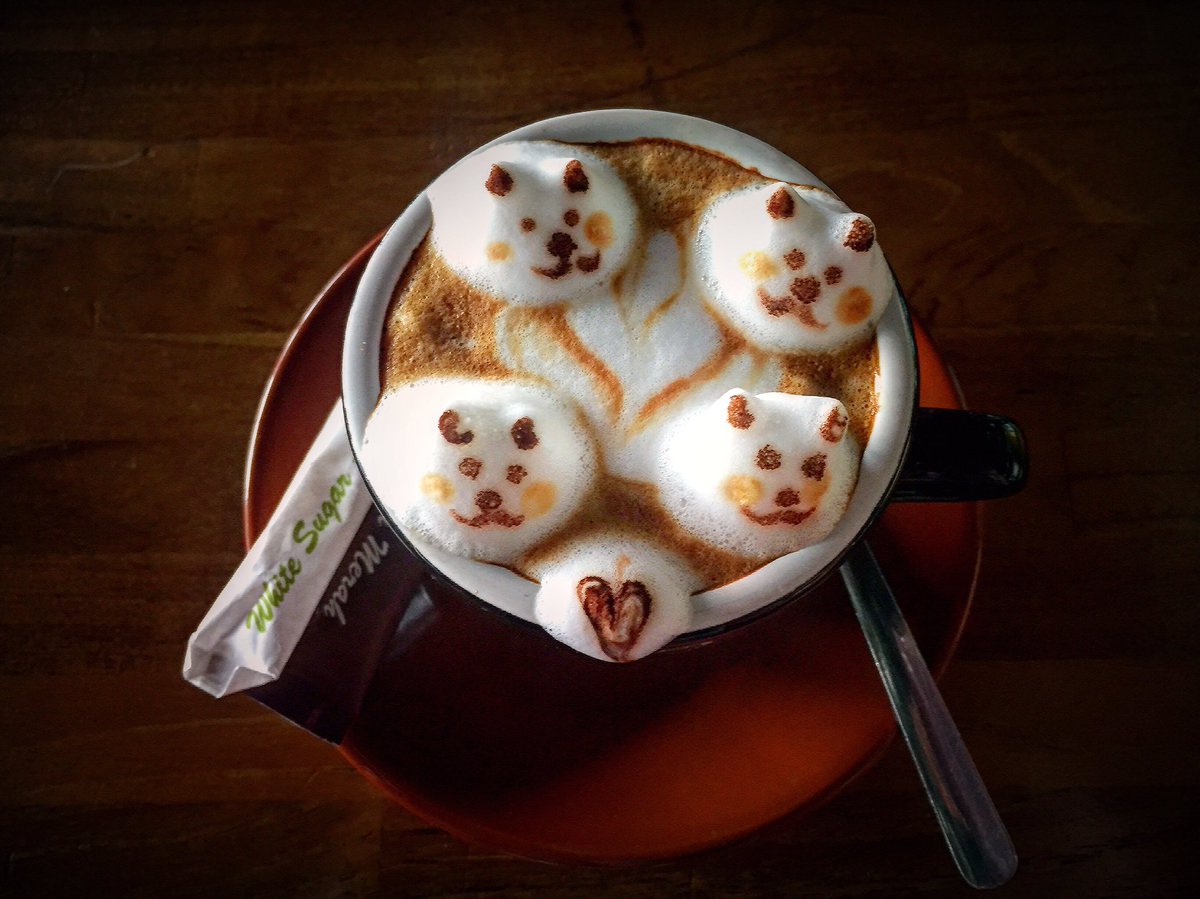 phep2x's tweet photo. Love cats 😍 https://t.co/U3nbZPa6ue