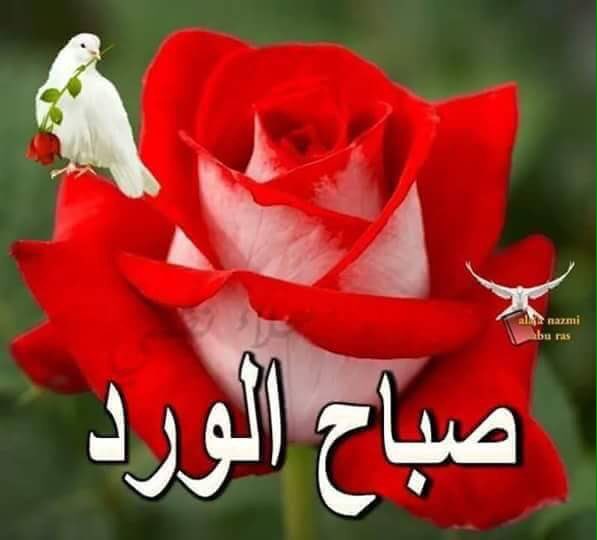 janah__95's tweet photo. https://t.co/iOnwowRCC2