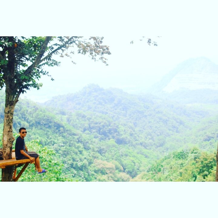 VickyRonald3's tweet photo. #rumahpohon #puncakpinus #sagulingmunding #cintawargi #tegalwaru #explorekarawang https://t.co/gez91dGaGw