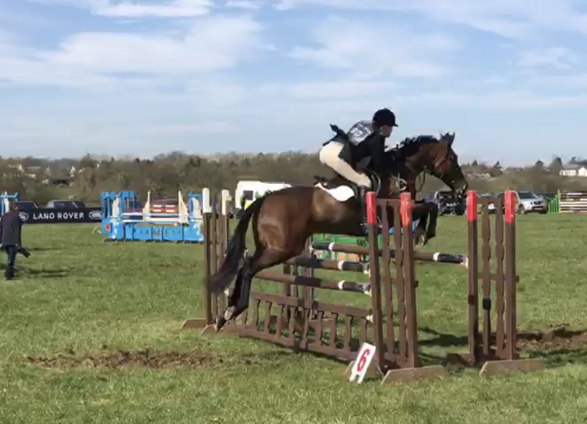 AMKReventing's tweet photo. So proud of Lades at first event this year - the amazing @GatcombeHTrials - v spooky/naughty DR 37, 1 pole SJ and super fun clear XC 💕 https://t.co/2iyWAm3Eok
