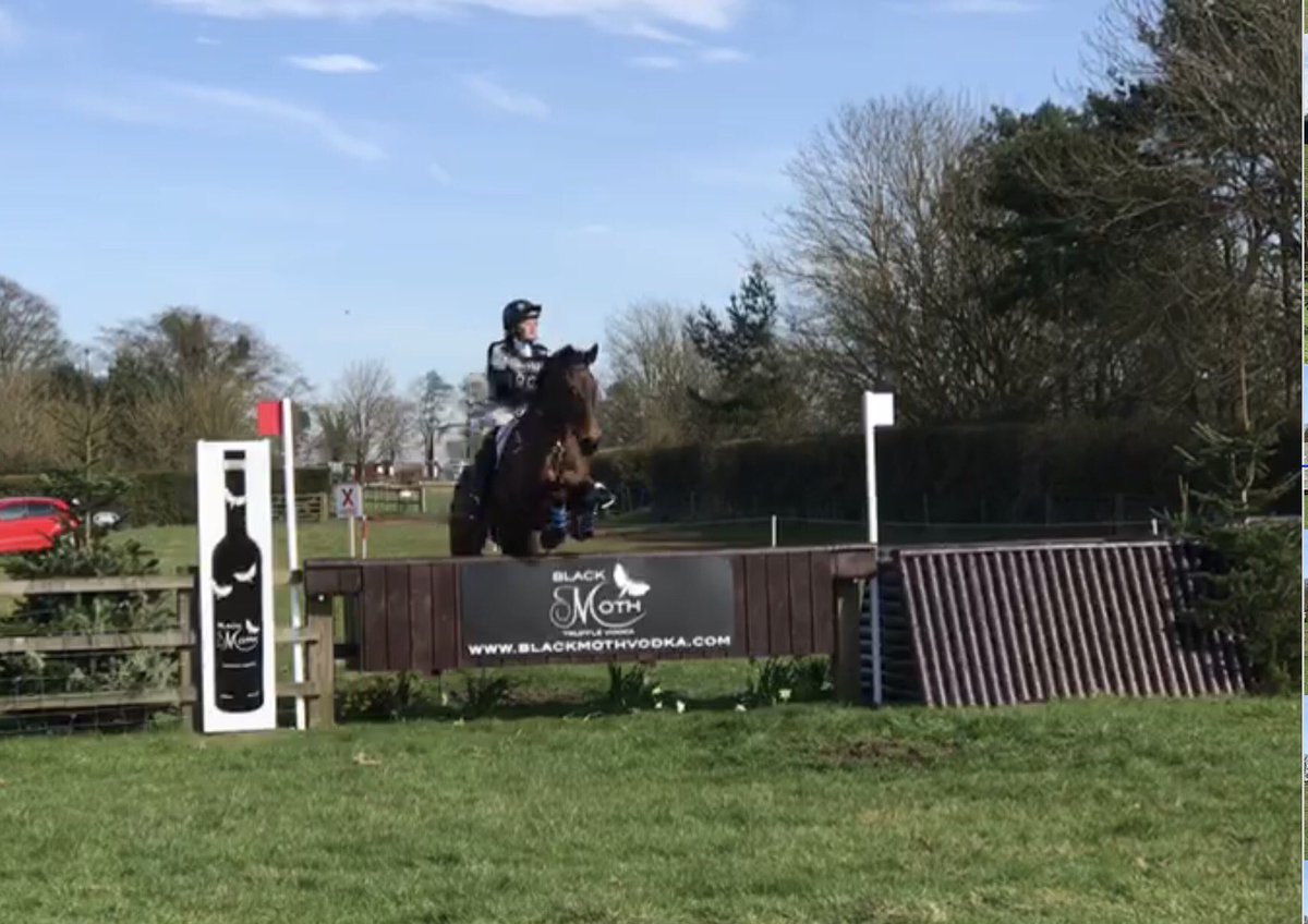 AMKReventing's tweet photo. So proud of Lades at first event this year - the amazing @GatcombeHTrials - v spooky/naughty DR 37, 1 pole SJ and super fun clear XC 💕 https://t.co/2iyWAm3Eok